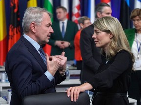 Finland's Foreign Minister Pekka Haavisto talks with Canada's Foreign Minister Melanie Joly, right, prior to the start of a meeting of the North Atlantic Council (NAC) in the framework of a NATO Foreign Ministers session, with invitees from Finland and Sweden, on Nov. 29, 2022 in Bucharest, Romania.