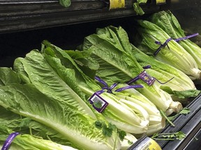 This Nov. 20, 2018 file photo shows romaine lettuce in Simi Valley, Calif. A shortage of lettuce is driving prices up at the grocery store and in restaurants.