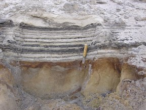 This 2006 photo provided by researchers shows a close-up of organic material in coastal deposits at Kap Kobenhavn, Greenland. The organic layers show traces of the rich plant flora and insect fauna that lived two million years ago.