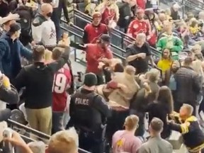 In a viral video, a brawl erupts in the seats during an Arizona Coyotes game Friday night.