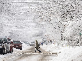 Tree branches and utility lines are laden with thick snow after a snowstorm in Ottawa, on Saturday, Dec. 17, 2022. Environment Canada is warning of a significant winter storm that's set to hit much of Ontario and says residents should consider altering travel plans through the holiday weekend as road conditions could become dangerous.