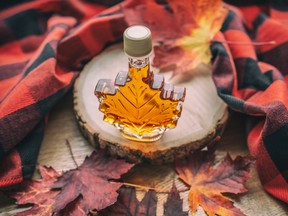 Maple syrup gift bottle in red maple tree leaves for tourist souvenir. Canada grade A amber sweet natural liquid from Quebec sugar shack maple trees farm