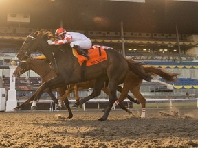 The $150,000 Valedictory Stakes finished in a dead-heat with Who’s the Star, with Emma-Jayne Wilson aboard, catching Wentru, with Rafael Hernandez in the saddle, right at the wire.