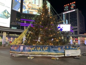 The Rotary Club's Forget Me Not Remembrance Tree in Yonge-Dundas Square allows people to place a ribbon in memory of someone, but it is not a Christmas tree.