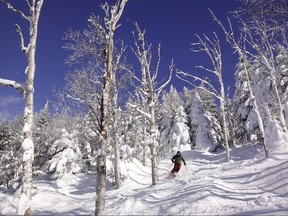 Mont-Sutton, located about an hour outside of Montreal, is known for glade tree skiing.
