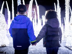 Backs of two children holding hands looking at light display.