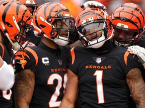Cincinnati Bengals wide receiver Ja'Marr Chase is congratulated by Cincinnati Bengals running back Joe Mixon and Cincinnati Bengals center Ted Karras after a touchdown catch in the second quarter during a Week 14 NFL game against the Cleveland Browns at Paycor Stadium.