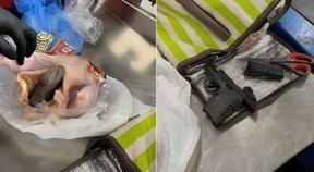 A tape-wrapped handgun hidden in plucked raw chicken detected by baggage handlers at a Florida airport in September before being smuggled aboard a Haiti-bound plane. U.S. TRANSPORTATION SECURITY ADMINISTRATION HANDOUT