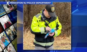 Animal Control Officer Jim Ferry of Princeton Police Department, N.J., found ceramic parrot after caller reported loose parrot in a tree in March. PRINCETON NJ POLICE DEPARTMENT HANDOUT