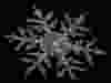 Snowflakes start off as prisms with six sides. At some points in this snowflake's path, the conditions changed back and forth for some vertical development, but largely lateral development.