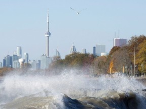 A seagull struggles against high winds from the remnants of hurricane Patricia as waves pound the beach in Toronto on Thursday, October 29, 2015.