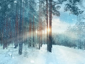 A new study suggests spending time in winter landscapes is good for your physical and mental wellbeing.