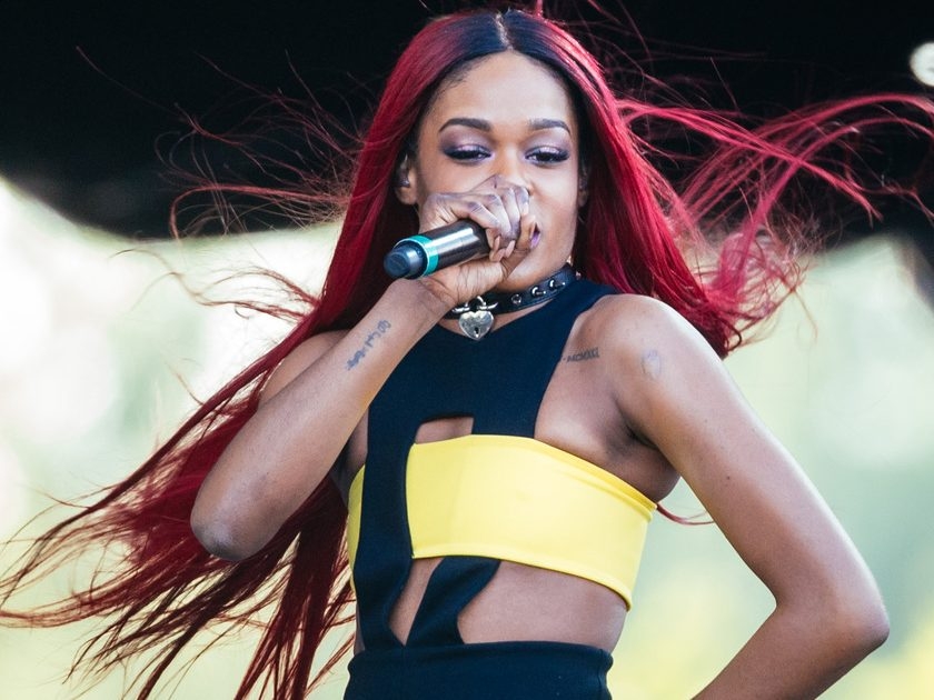 Controversial hip-hop star Azealia Banks praises Ron DeSantis - TrendRadars