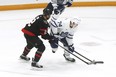 Toronto Maple Leafs centre Bobby McMann (74) and Ottawa Senators defenceman Artem Zub (2) battle for the puck during pre-season action.