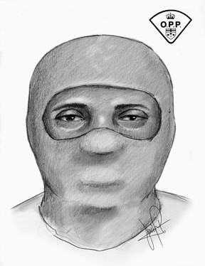 Suspect 2 in the Elnaz Hajtamiri kidnapping. OPP SKETCH