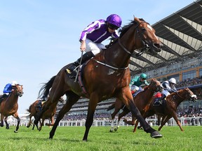 Ryan Moore on Highland Reel wins the Prince of Wales's Stakes on Day Two of Royal Ascot at Ascot Racecourse on June 21, 2017 in Ascot, England.