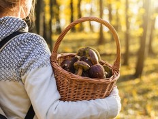 Woman with mushrooms in wicker basket in autumn forest.