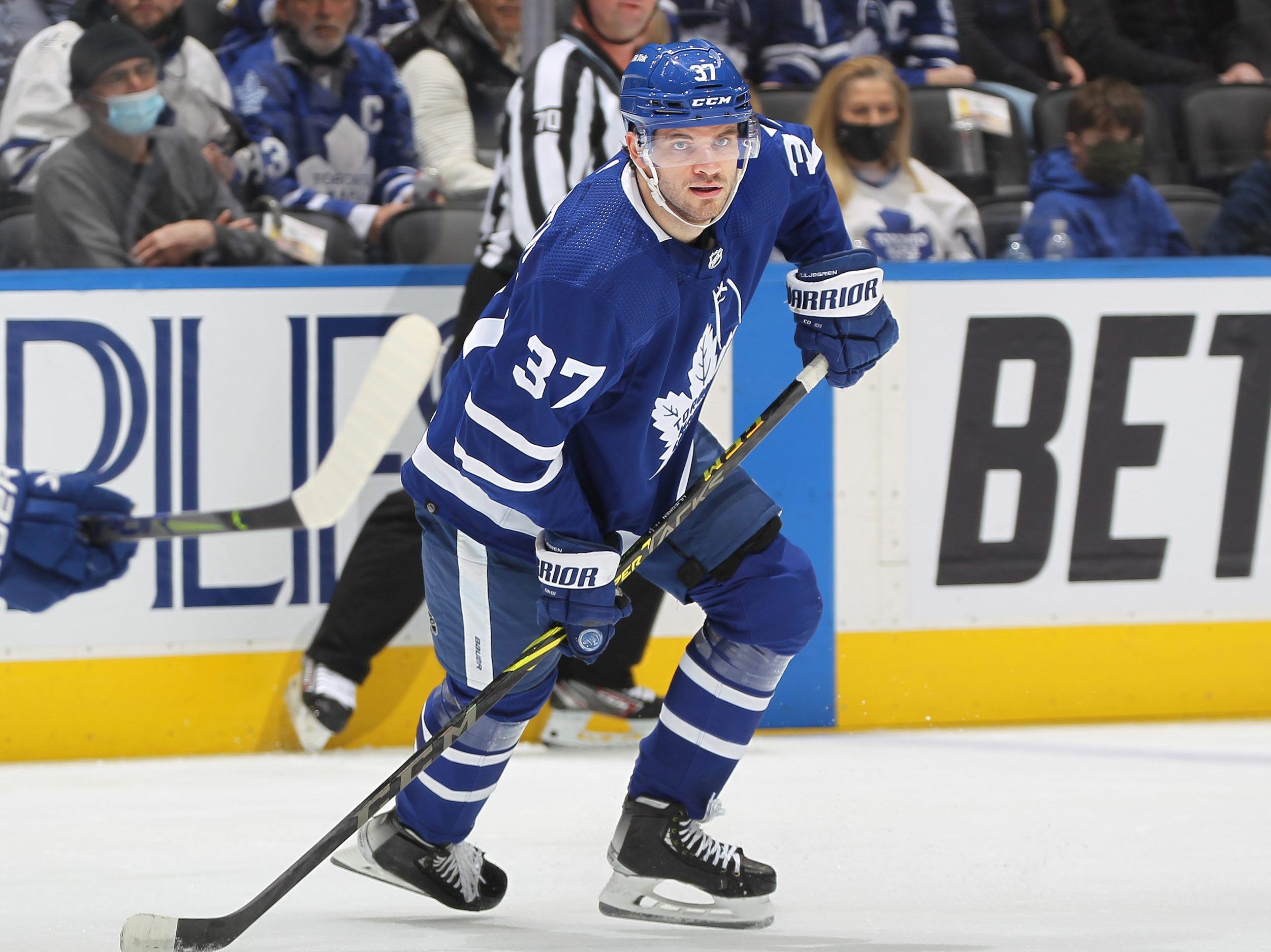 SIMMONS: The Rise And Grind Of Leafs Defenceman Timothy Liljegren ...