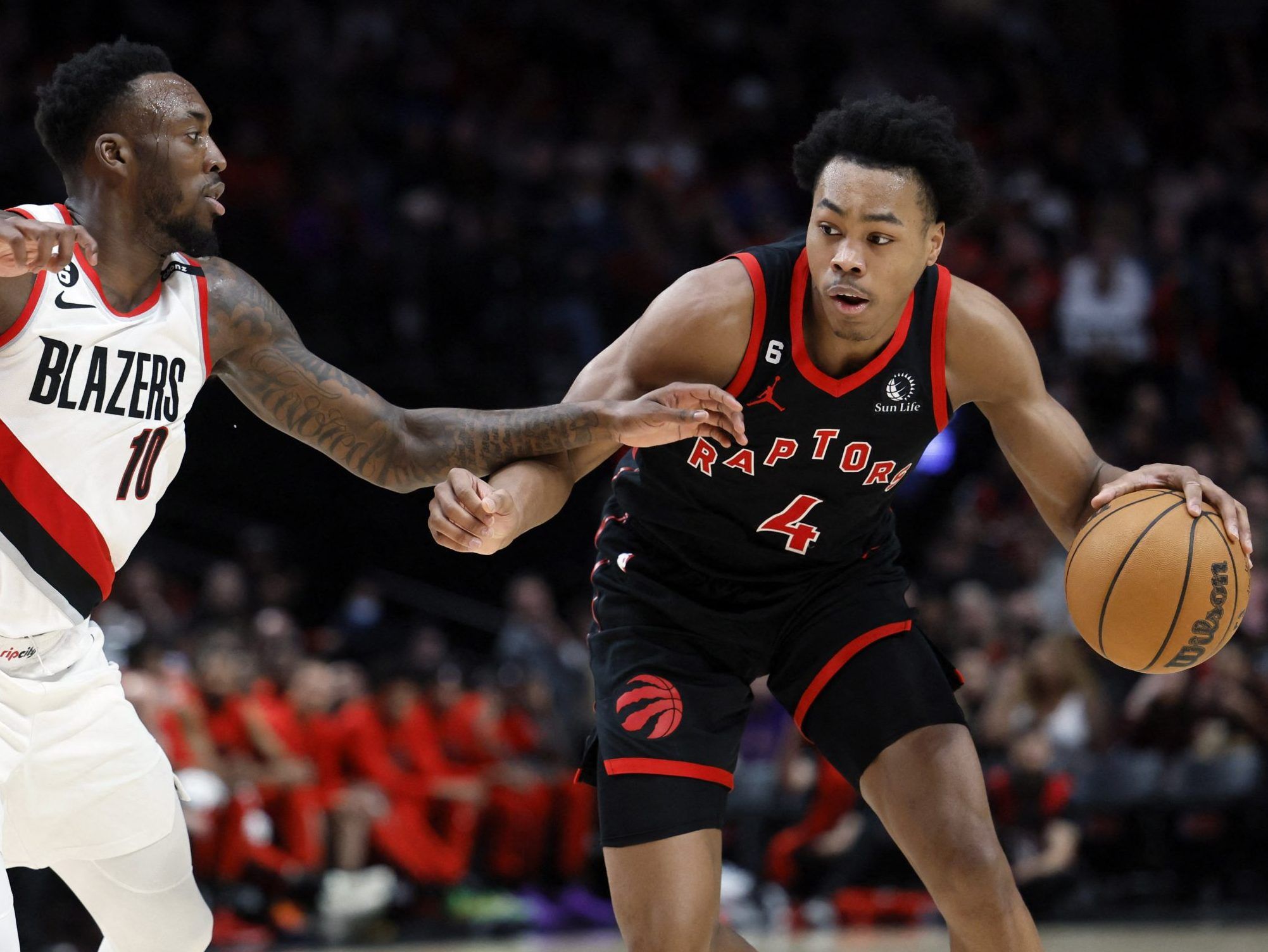 Scottie Barnes - Toronto Raptors Basketball by sportsign in 2023