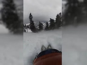 Blake Nielson filmed his 300-foot slide down a Utah summit.