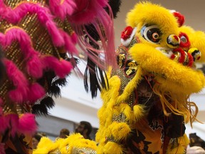 Lions dancers from Hong De Canada perform during Lunar New Year (Year of the Rabbit) celebrations at Londonderry Mall in Edmonton Sunday Jan. 15, 2023.