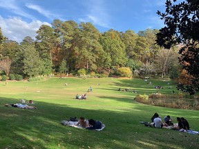 Relax and enjoy the greenery at Sarah P. Duke Gardens. Lance Hornby/Toronto Sun