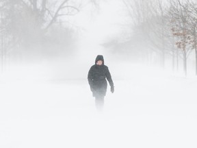 A person walks through the Central Experimental Farm during strong winds and snow squalls in Ottawa, Saturday, Dec. 24, 2022.