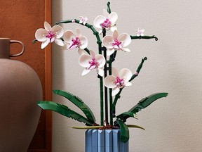 Everlasting Flowers bring beauty year-round to your home. LEGO Icons Orchid Kit, $69.86, www.walmart.ca.
