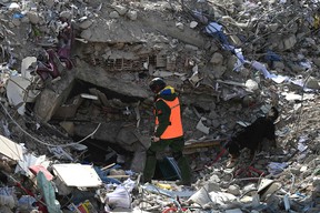 A search-and-rescue dog and its master search the rubble of collapsed buildings in Kahramanmaras on February 14, 2023. (Photo by OZAN KOSE/AFP via Getty Images)