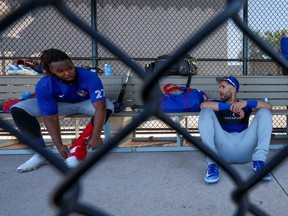 Blue Jays first baseman Vladimir Guerrero Jr. (left) chats with new centre fielder Kevin Kiermaier during spring workouts in Dunedin.