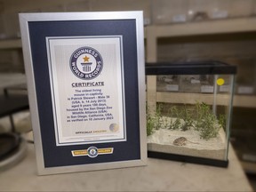San Diego Zoo Wildlife Alliance tweeted this photo of a mouse named Patrick Stewart, who has been certified by the Guinness World Records as the oldest living mouse in captivity.