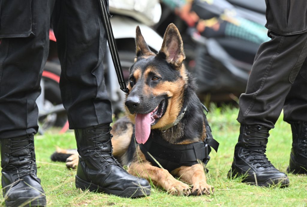 California bill would ban police dogs from biting alleged criminals ...