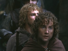 Billy Boyd as Peregrin (Pippin) Took in the movie, Lord of the Rings.