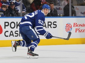 Newcomer Noel Acciari has had an immediate impact with the Toronto Maple Leafs.