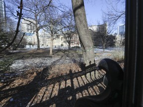 Trees at the southwest corner of Osgoode Hall are seen on Monday, February 6, 2023.