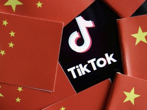 China's flags are seen near a TikTok logo in this illustration picture taken July 16, 2020.