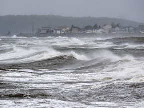 Waves pound the shore in Eastern Passage, N.S., Sept. 24, 2022. An "ill-timed" tweet warning it is illegal to take lobsters that have washed up on a beach was approved by no fewer than seven people even after one of them warned it may not be well received in the middle of a hurricane.