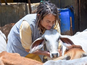 Friederike Irina Bruening, 61, also known as Sudevi Mataji, embraces a cow at the cowshed at Radhakund village in Mathura district of Uttar Pradesh state on May 27, 2019.