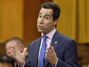 Liberal MP may not vote for party's language bill due to changes made by Bloc, Tories Parliamentary Secretary to the Minister of Public Services and Procurement Anthony Housefather rises during Question Period, Friday, October 7, 2022 in Ottawa.