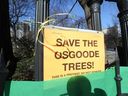 Activists oppose efforts by Metrolinx to cut down trees at Osgoode Hall to make way for a new subway station.