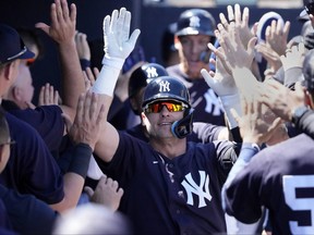 Mar 21, 2023; Tampa, Florida, USA;  New York Yankees third baseman Josh Donaldson (28) is congratulated in the Yankee?s dugout after hitting a three run homer against the Detroit Tigers during the sixth inning at George M. Steinbrenner Field.