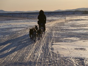 FILE - Veteran musher Aaron Burmeister rides on a mostly bare-ice stretch of trail during the Iditarod Trail Sled Dog Race, as he reaches Unalakleet, Alaska, March 13, 2022.
