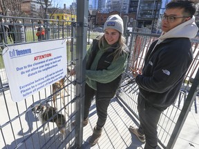 Dogs play inside the fenced-in off-leash dog park at St. Andrew's Playground located on the north side of Adelaide St. W. east of Bathurst St. City of Toronto signage had been posted alerting dog owners and walkers that “excessive barking will not be tolerated." By mid-afternoon Wednesday, the signage had been taken down by the city as they said it did not meet their "standards." on Wednesday, March 8, 2023.