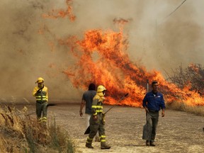 In this file photo taken on July 18, 2022, firefighters from the Brigadas de Refuerzo en Incendios Forestales (BRIF) tackle a fire in a wheat field in Tabara, Zamora, on the second heatwave of the year in Spain.