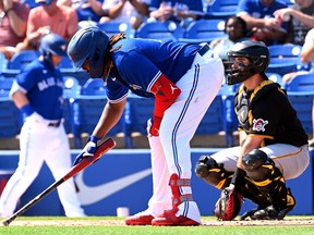 Toronto Blue Jays first baseman Vladimir Guerrero Jr. (27) prepares to bat against the Pittsburgh Pirates at TD Ballpark.