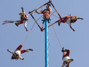 In this Jan. 24, 2008 file photo, Native Mexican Totonacas hang from a trunk during the "Los Voladores" ceremony in Mexico City.