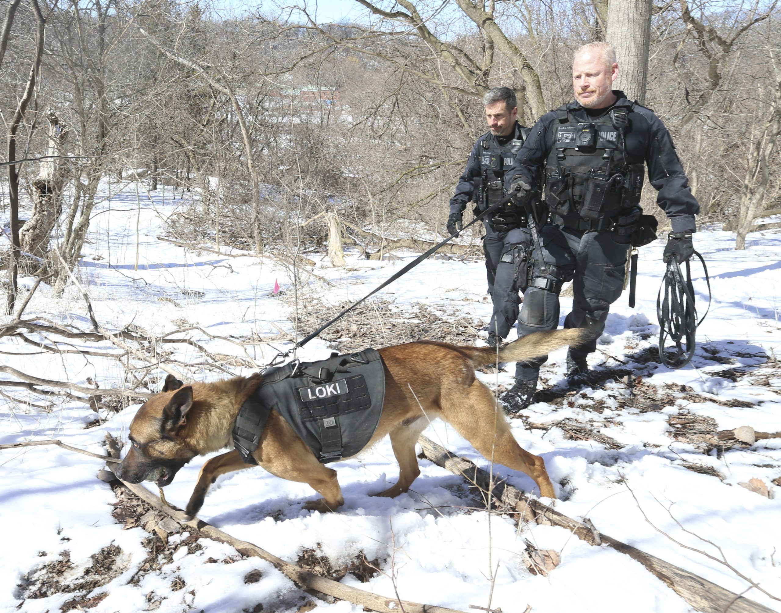 Police best sale dog diet