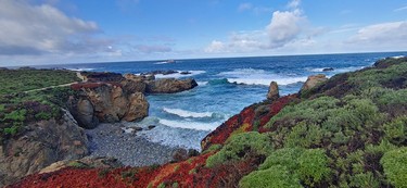Garrapata State Park in Big Sur is colourful and picturesque. SARA SHANTZ PHOTO
