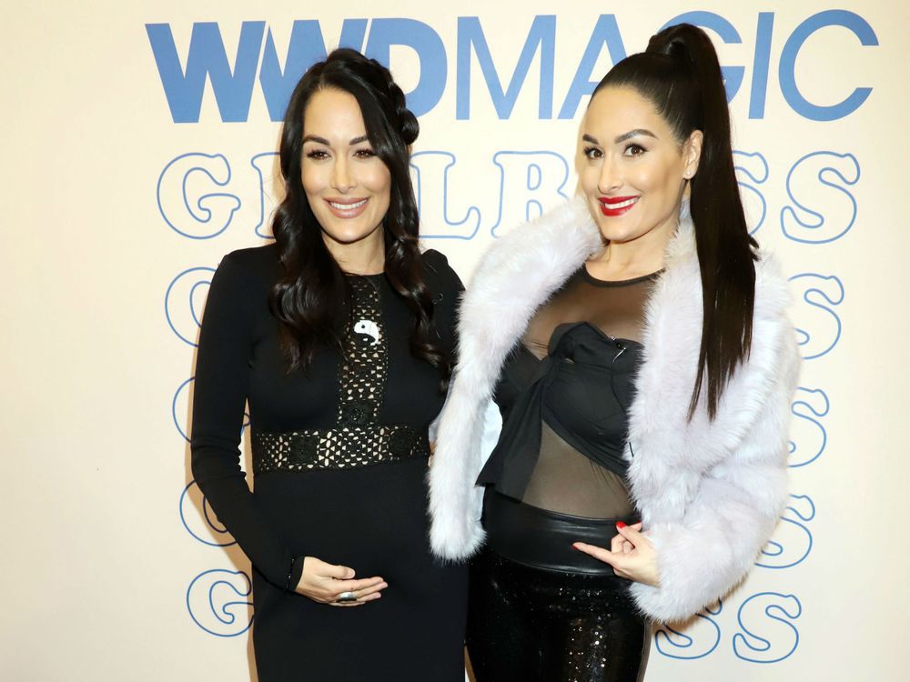 'IT WAS TIME': Nikki and Brie Bella confirm they're leaving WWE ...