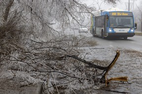 Traffic detours around branches that fell on St. Charles Blvd. in Beaconsfield, west of Montreal Thursday April 6, 2023 after an ice storm hit the city the day before.